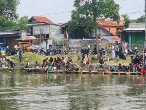 Sempat Diwarnai Protes Pemancing, Pemkab Karawang Tebar Ikan Mas di Acara Mancing Gratis HUT Karawang